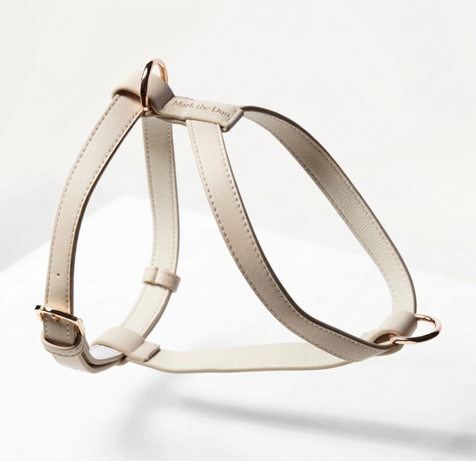 HARNESS